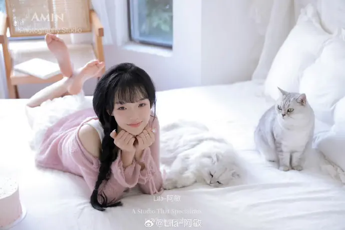 七龙珠超全球热度地图